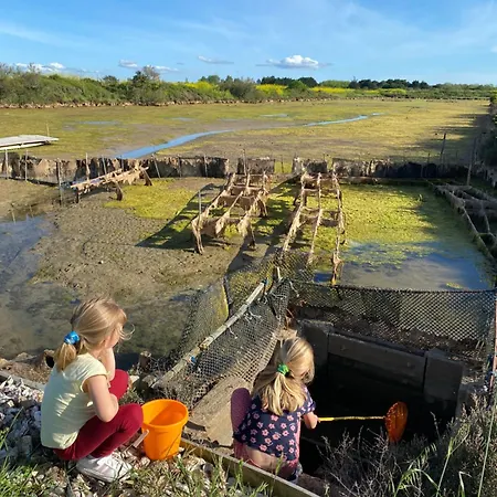 Hébergement de vacances La Fleur Des Marais - Maison Confort Au Calme, Grand Jardin&balançoire Le Château-dʼOléron