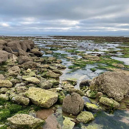 Hébergement de vacances La Fleur Des Marais - Maison Confort Au Calme, Grand Jardin&balançoire