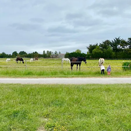 Hébergement de vacances La Fleur Des Marais - Maison Confort Au Calme, Grand Jardin&balançoire Le Château-dʼOléron