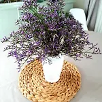La Fleur Des Marais - Maison Confort Au Calme, Grand Jardin & Balancoire Feriehus *