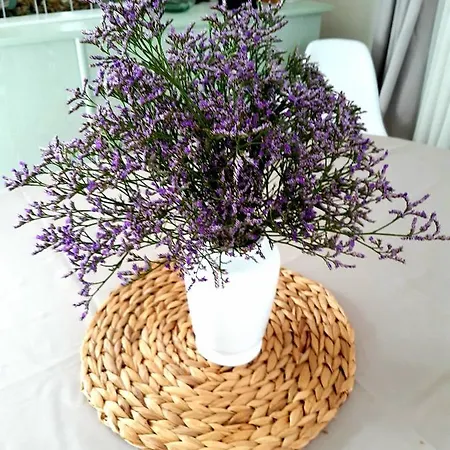La Fleur Des Marais Holiday home *