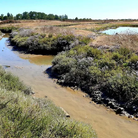 La Fleur Des Marais - Maison Confort Au Calme, Grand Jardin & Balancoire
