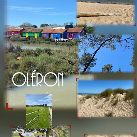 Сasa de vacaciones La Fleur Des Marais - Maison Confort Au Calme, Grand Jardin & Balancoire *