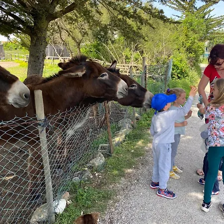 בית נופש La Fleur Des Marais - Maison Confort Au Calme, Grand Jardin & Balancoire