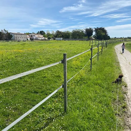 Сasa de vacaciones La Fleur Des Marais - Maison Confort Au Calme, Grand Jardin & Balancoire *