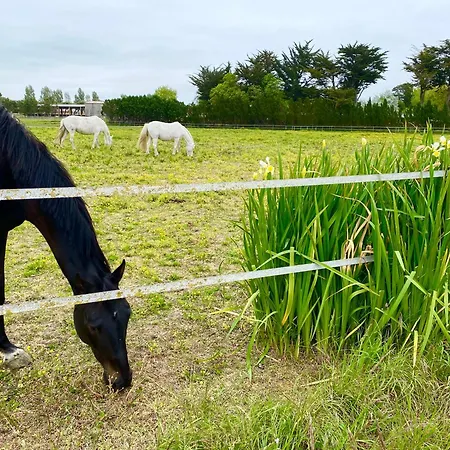 La Fleur Des Marais - Maison Confort Au Calme, Grand Jardin & Balancoire * Le Château-dʼOléron