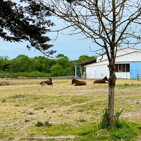 Сasa de vacaciones La Fleur Des Marais - Maison Confort Au Calme, Grand Jardin & Balancoire *